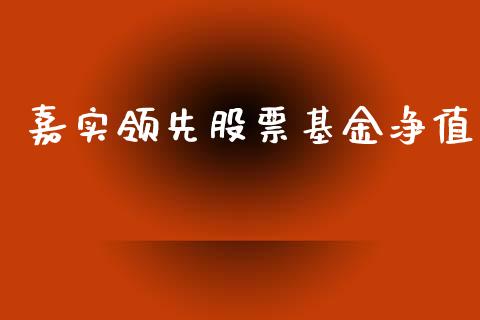 嘉实领先股票基金净值_https://www.lansai.wang_期货行情_第1张