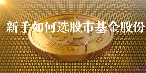 新手如何选股市基金股份_https://www.lansai.wang_基金理财_第1张