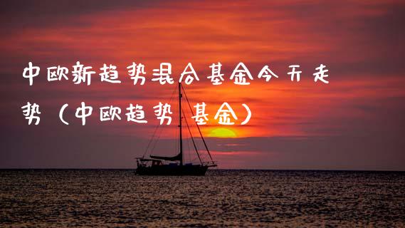 中欧新趋势混合基金今天走势（中欧趋势 基金）_https://www.lansai.wang_基金理财_第1张