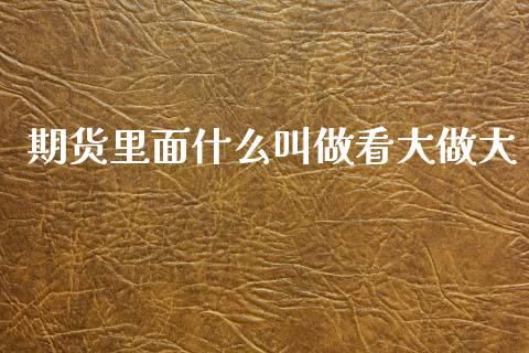 期货里面什么叫做看大做大_https://www.lansai.wang_期货品种_第1张