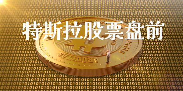 特斯拉股票盘前_https://www.lansai.wang_股票问答_第1张