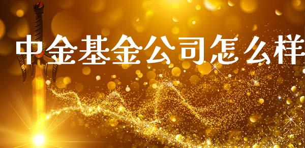 中金基金公司怎么样_https://www.lansai.wang_基金理财_第1张