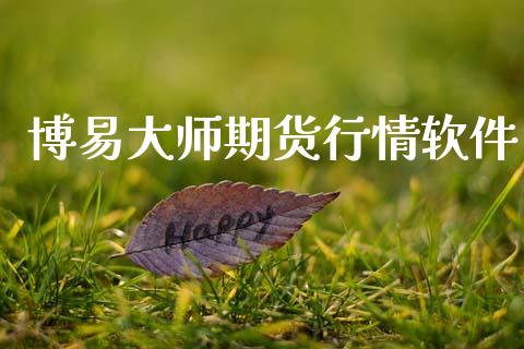 博易大师期货行情软件_https://www.lansai.wang_股指期货_第1张