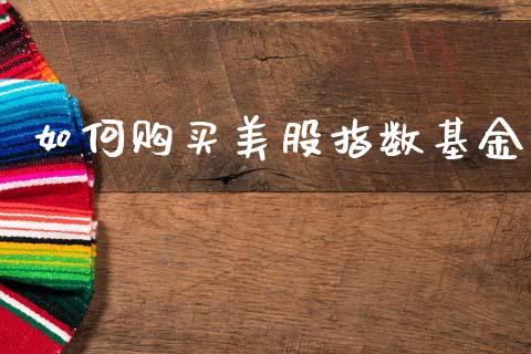 如何购买美股指数基金_https://www.lansai.wang_基金理财_第1张