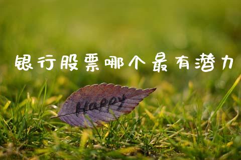 银行股票哪个最有潜力_https://www.lansai.wang_股票知识_第1张