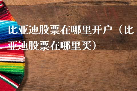 比亚迪股票在哪里开户（比亚迪股票在哪里买）_https://www.lansai.wang_股票问答_第1张