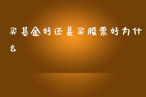 买基金好还是买股票好为什么_https://www.lansai.wang_理财百科_第1张