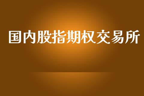 国内股指期权交易所_https://www.lansai.wang_期货学院_第1张