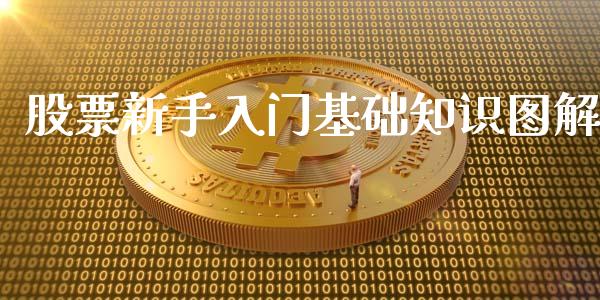股票新手入门基础知识图解_https://www.lansai.wang_股票问答_第1张