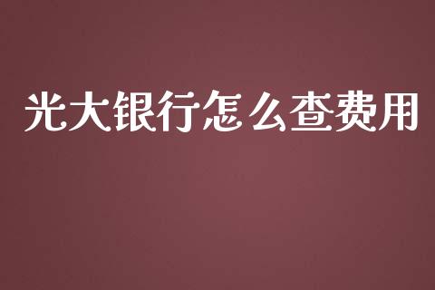 光大银行怎么查费用_https://www.lansai.wang_基金理财_第1张