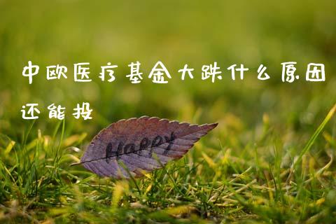 中欧医疗基金大跌什么原因还能投_https://www.lansai.wang_理财百科_第1张