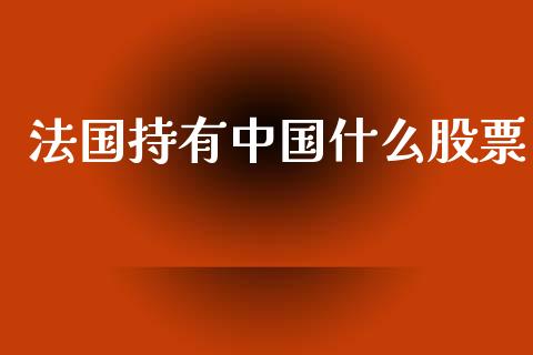 法国持有中国什么股票_https://www.lansai.wang_期货行情_第1张