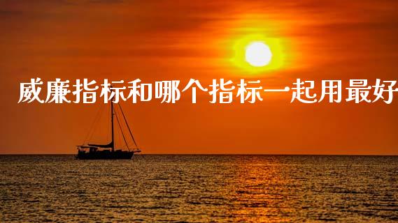 威廉指标和哪个指标一起用最好_https://www.lansai.wang_期货行情_第1张