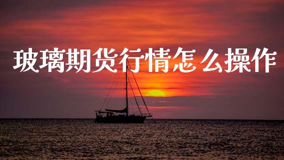 玻璃期货行情怎么操作_https://www.lansai.wang_期货资讯_第1张