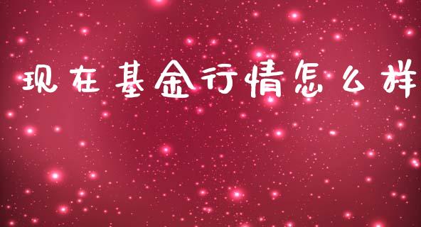 现在基金行情怎么样_https://www.lansai.wang_未分类_第1张