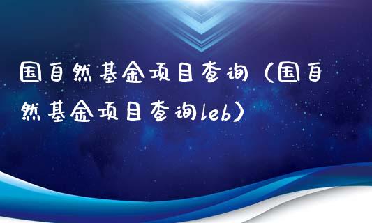 国自然基金项目查询（国自然基金项目查询leb）_https://www.lansai.wang_基金理财_第1张