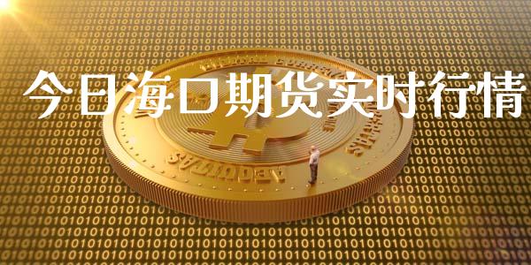 今日海口期货实时行情_https://www.lansai.wang_期货资讯_第1张