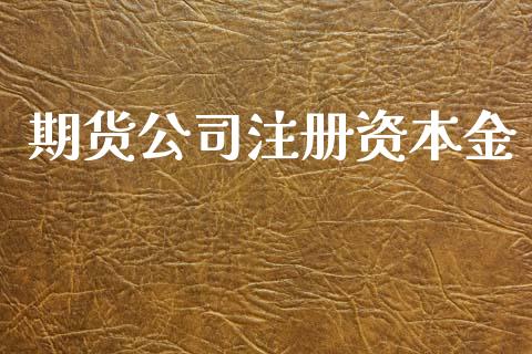 期货公司注册资本金_https://www.lansai.wang_恒生指数_第1张