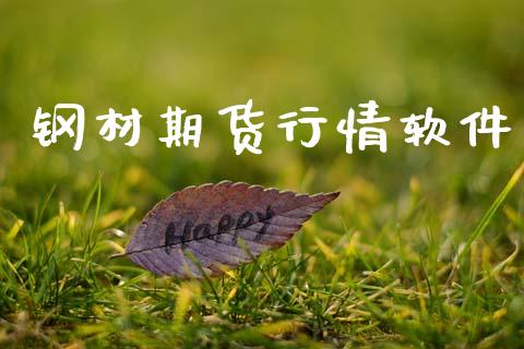 钢材期货行情软件_https://www.lansai.wang_股指期货_第1张