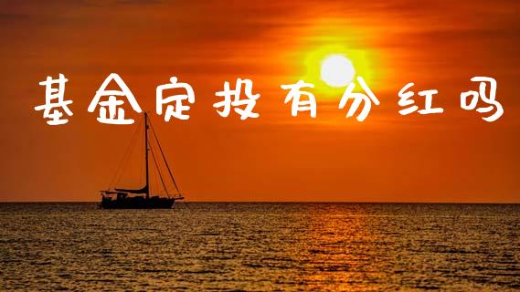基金定投有分红吗_https://www.lansai.wang_基金理财_第1张