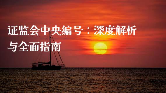 证监会中央编号：深度解析与全面指南_https://www.lansai.wang_期货资讯_第1张