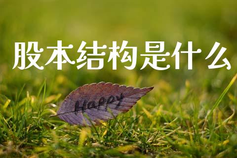 股本结构是什么_https://www.lansai.wang_期货行情_第1张