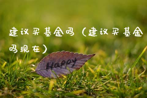 建议买基金吗（建议买基金吗现在）_https://www.lansai.wang_基金理财_第1张
