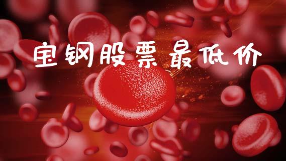 宝钢股票最低价_https://www.lansai.wang_期货资讯_第1张