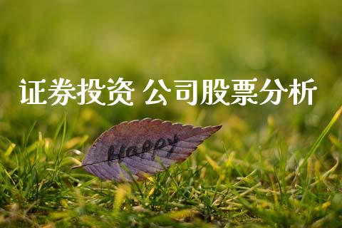 证券投资 公司股票分析_https://www.lansai.wang_期货资讯_第1张