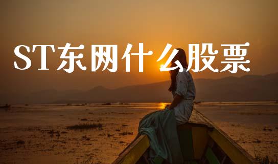 ST东网什么股票_https://www.lansai.wang_期货行情_第1张