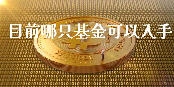 目前哪只基金可以入手_https://www.lansai.wang_基金理财_第1张