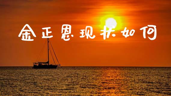 金正恩现状如何_https://www.lansai.wang_期货行情_第1张