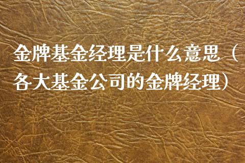 金牌基金经理是什么意思（各大基金公司的金牌经理）_https://www.lansai.wang_基金理财_第1张