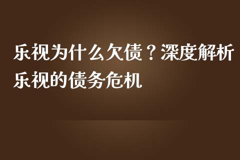 乐视为什么欠债？深度解析乐视的债务危机_https://www.lansai.wang_期货品种_第1张