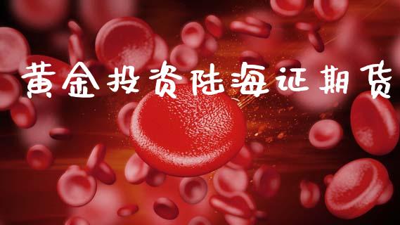 黄金投资陆海证期货_https://www.lansai.wang_期货资讯_第1张