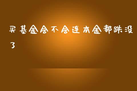 买基金会不会连本金都跌没了_https://www.lansai.wang_基金理财_第1张