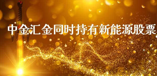 中金汇金同时持有新能源股票_https://www.lansai.wang_恒生指数_第1张