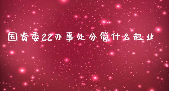 国资委22办事处分管什么起业_https://www.lansai.wang_期货资讯_第1张