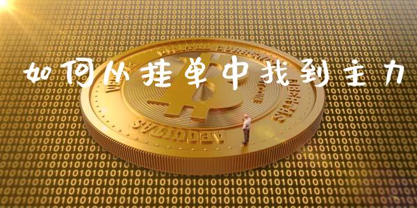 如何从挂单中找到主力_https://www.lansai.wang_期货直播_第1张