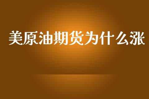 美原油期货为什么涨_https://www.lansai.wang_期货资讯_第1张