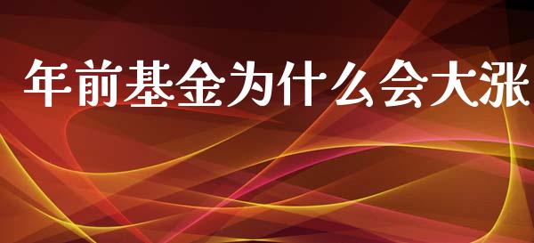 年前基金为什么会大涨_https://www.lansai.wang_基金理财_第1张