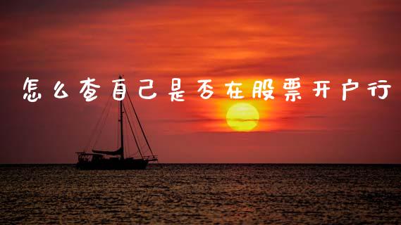 怎么查自己是否在股票开户行_https://www.lansai.wang_恒生指数_第1张
