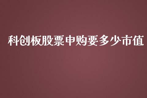 科创板股票申购要多少市值_https://www.lansai.wang_期货资讯_第1张
