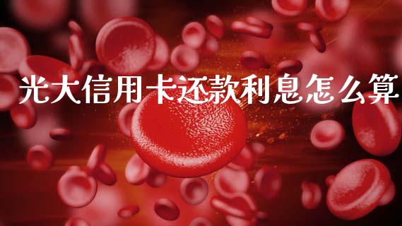 光大信用卡还款利息怎么算_https://www.lansai.wang_基金理财_第1张