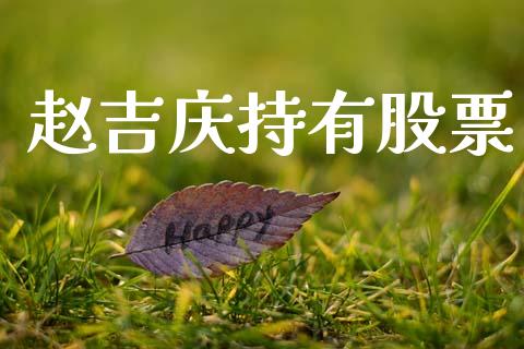 赵吉庆持有股票_https://www.lansai.wang_基金理财_第1张
