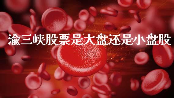 渝三峡股票是大盘还是小盘股_https://www.lansai.wang_期货资讯_第1张