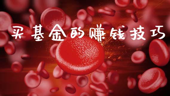 买基金的赚钱技巧_https://www.lansai.wang_基金理财_第1张