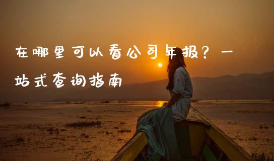 在哪里可以看公司年报？一站式查询指南_https://www.lansai.wang_期货品种_第1张