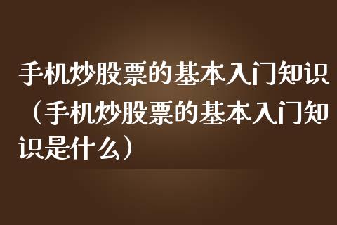 手机炒股票的基本入门知识（手机炒股票的基本入门知识是什么）_https://www.lansai.wang_股票知识_第1张