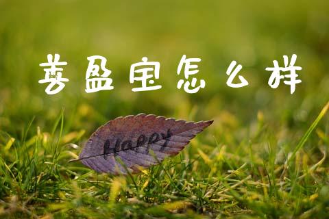 善盈宝怎么样_https://www.lansai.wang_恒生指数_第1张